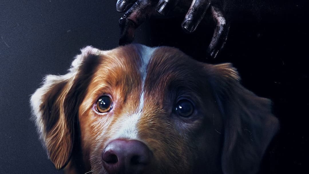 Good Boy - Trust His Instincts backdrop 18