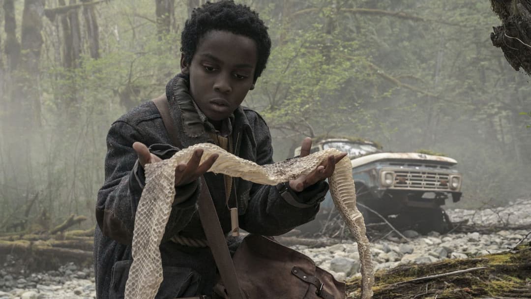 Хижий ліс backdrop 14