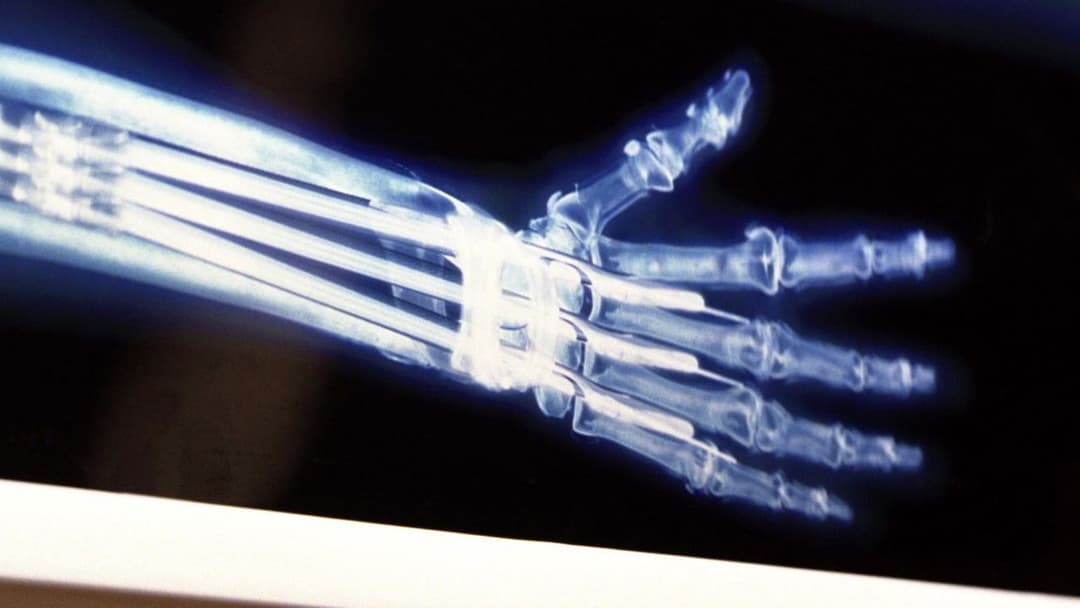 Люди Ікс backdrop 20