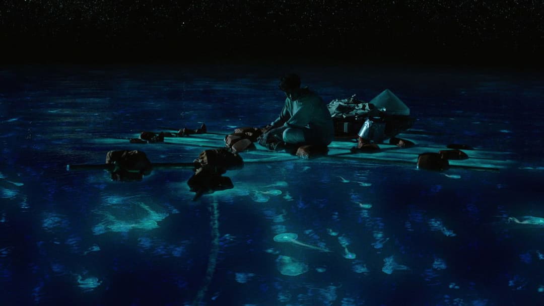 Life of Pi - Schiffbruch mit Tiger backdrop 16