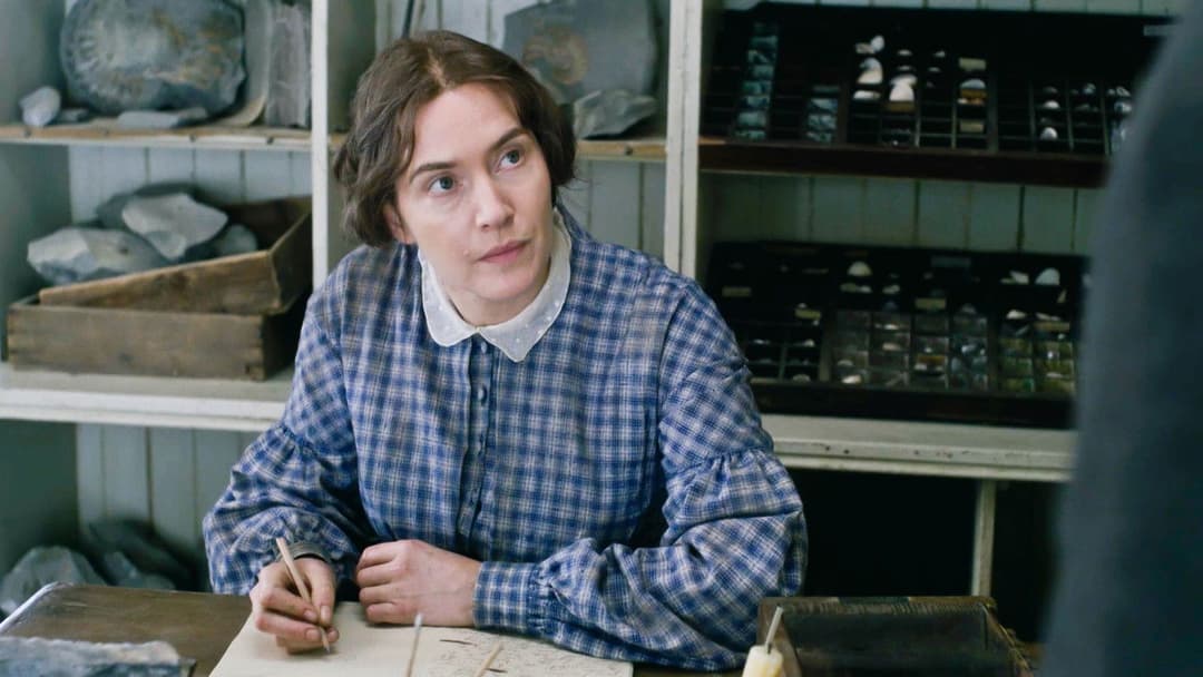 Ammonite backdrop 16