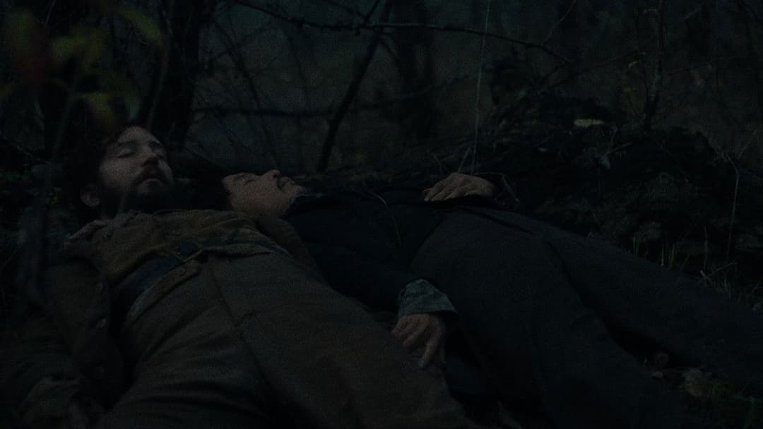 First Cow backdrop 15