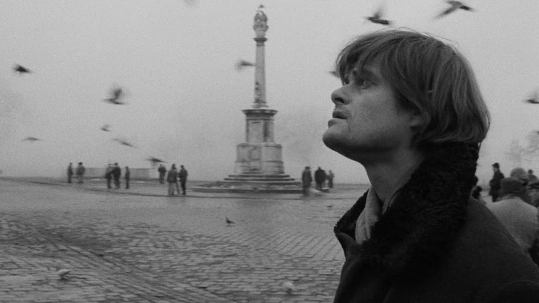 Die Werckmeisterschen Harmonien backdrop 9