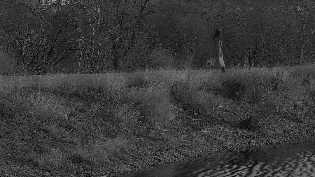 Wanted Guest backdrop 15