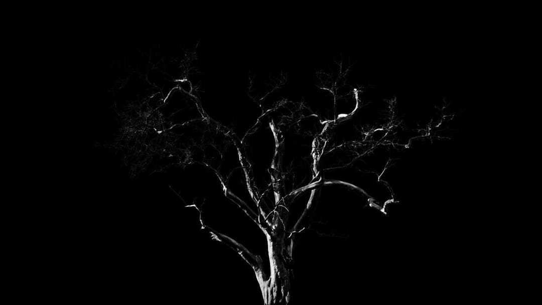 Dreams, Confessions and The End Of The World backdrop 1