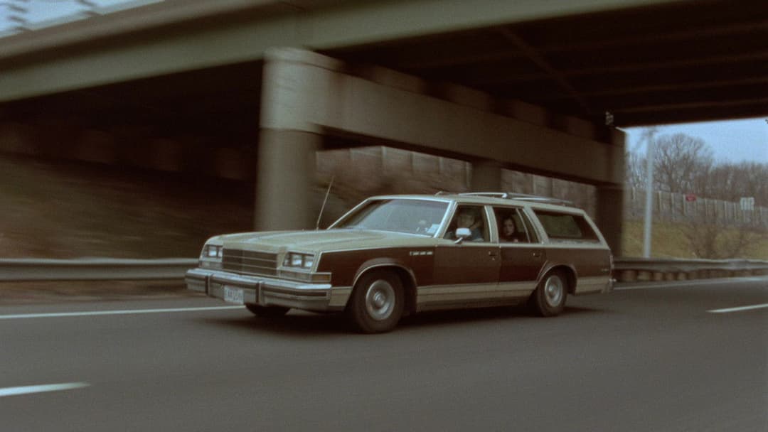 The Daytrippers backdrop 5