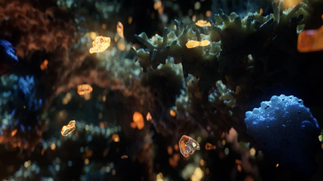 Uncut Gems backdrop 7