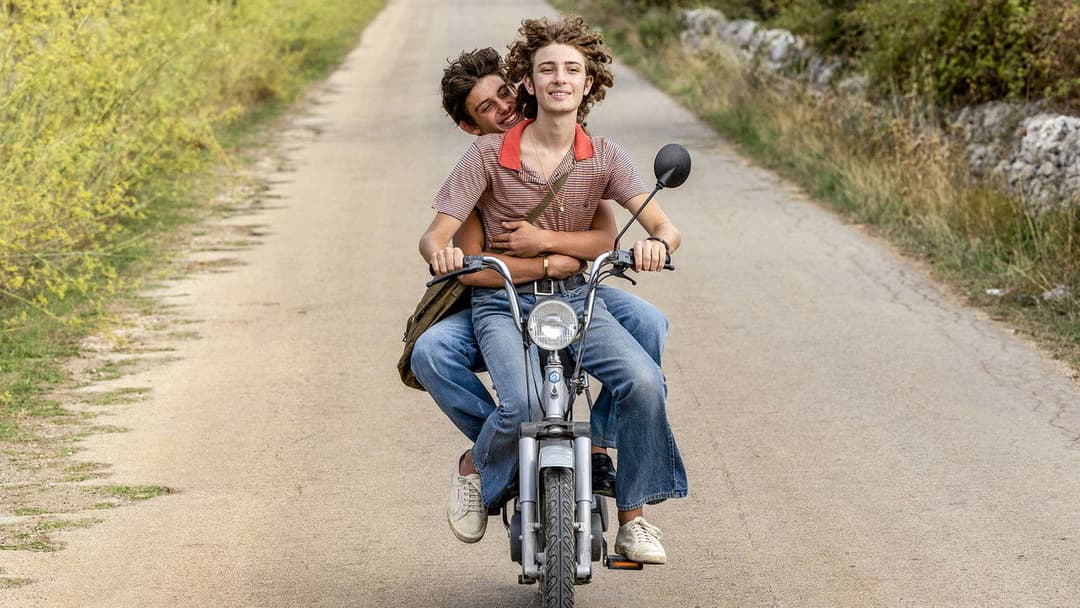 Fireworks backdrop 8