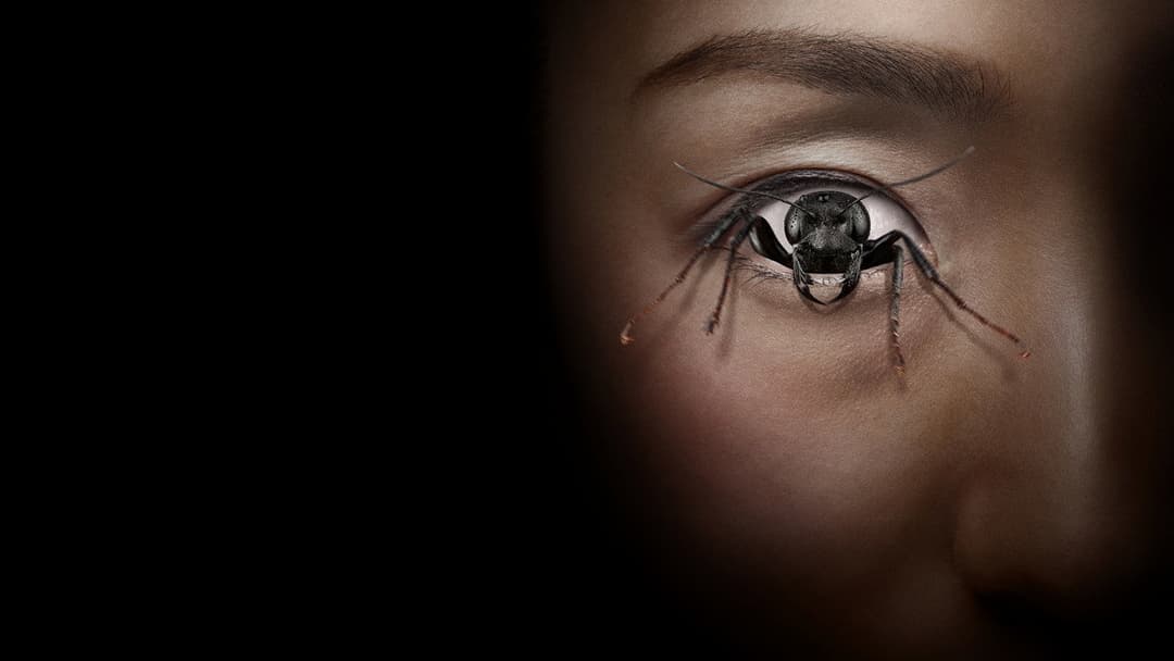 Control Freak backdrop 4