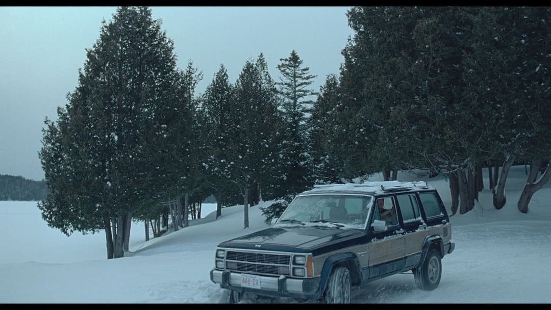 Будиночок backdrop 17