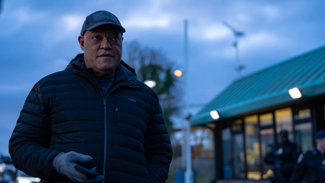 Аматор backdrop 20