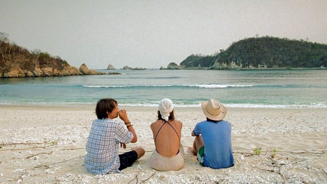 Y Tu Mama Tambien - Lust for Life backdrop 3