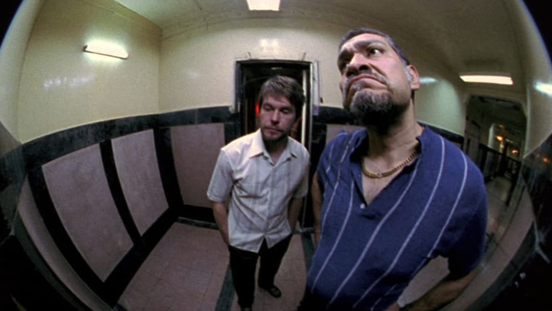 Matando Cabos backdrop 6