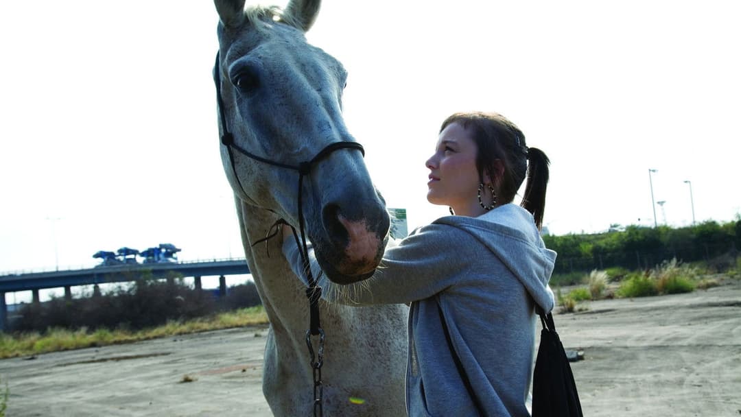 Акваріум backdrop 10