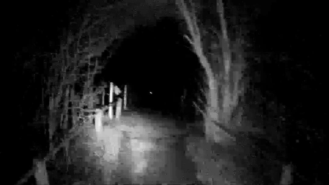 Port Meadow backdrop 5