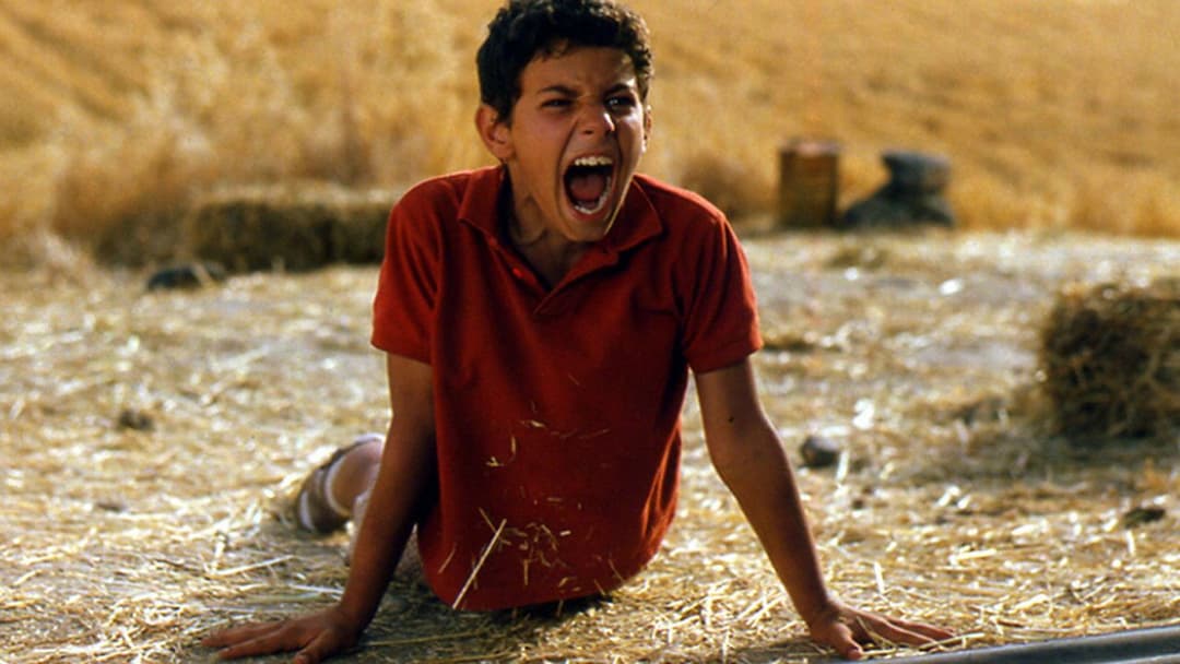 Я не боюся backdrop 2