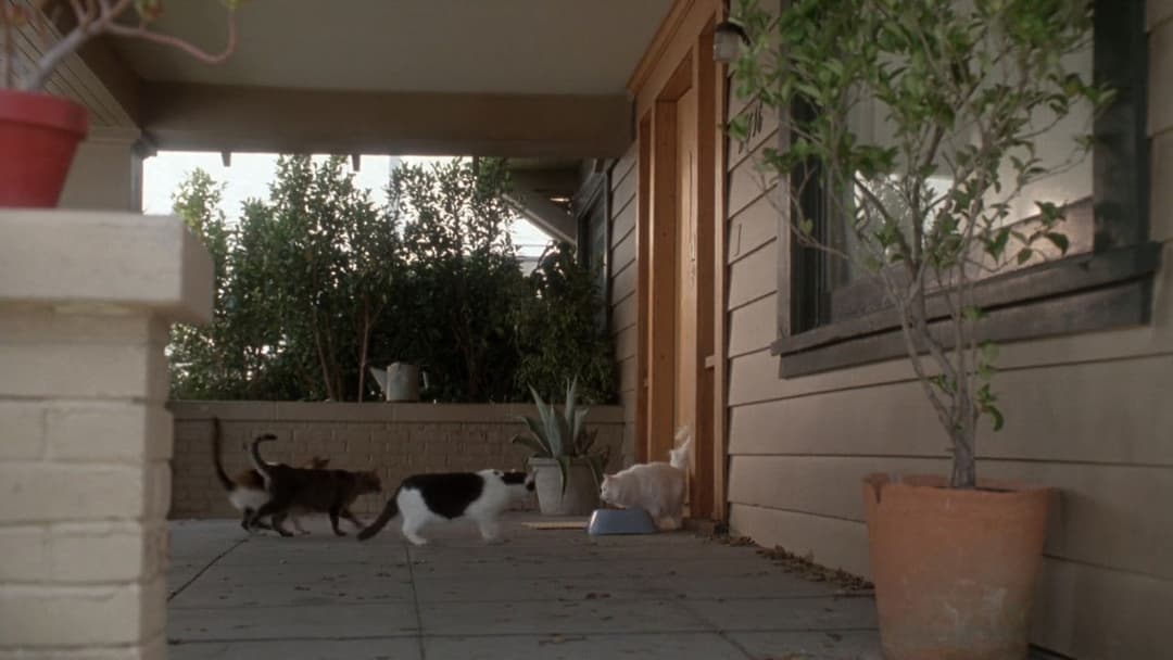 Поетична Джастіс backdrop 5