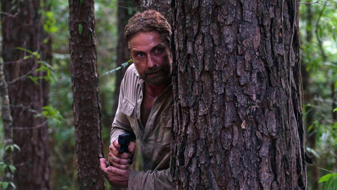 Зникла backdrop 15