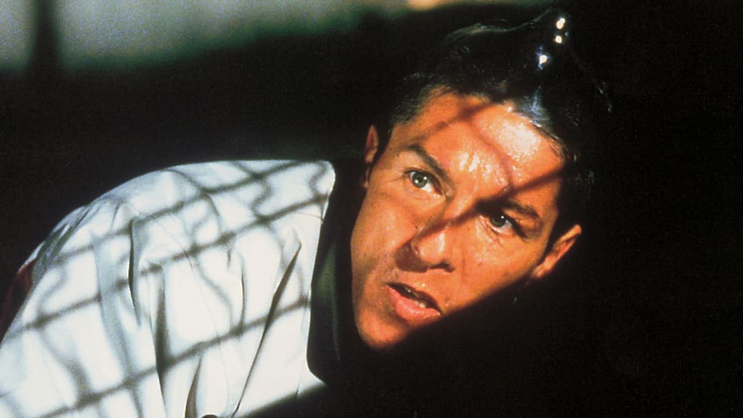 Осине гніздо backdrop 4