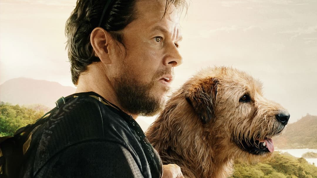 Артур, ти король backdrop 12