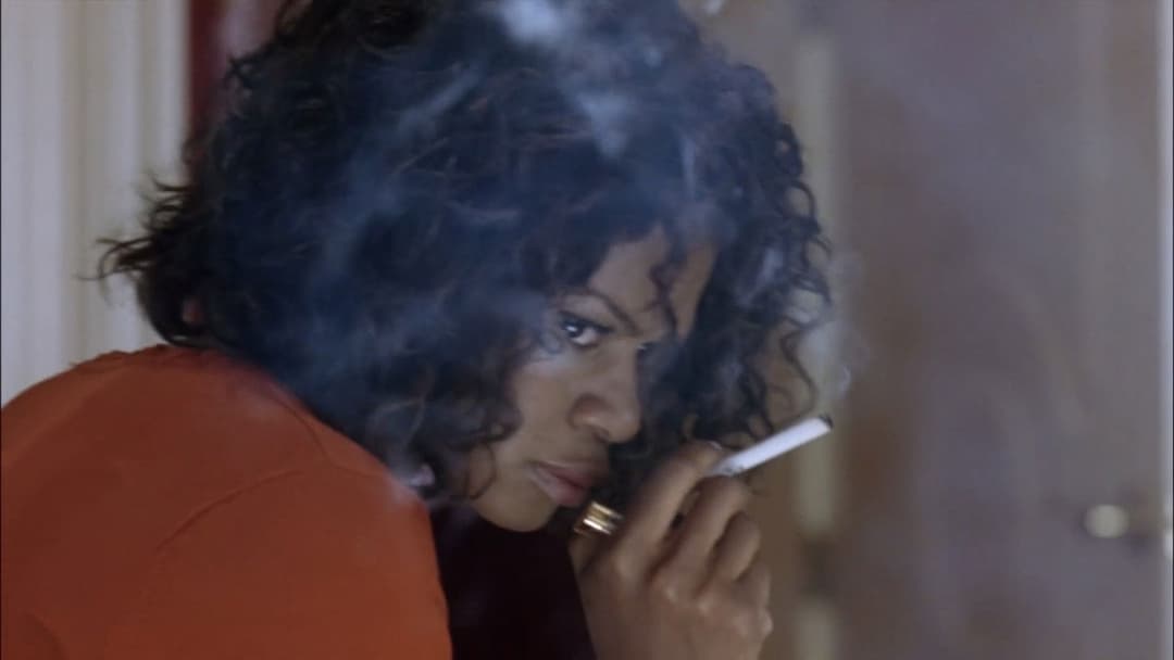 Щоденник божевільної чорної жінки backdrop 7