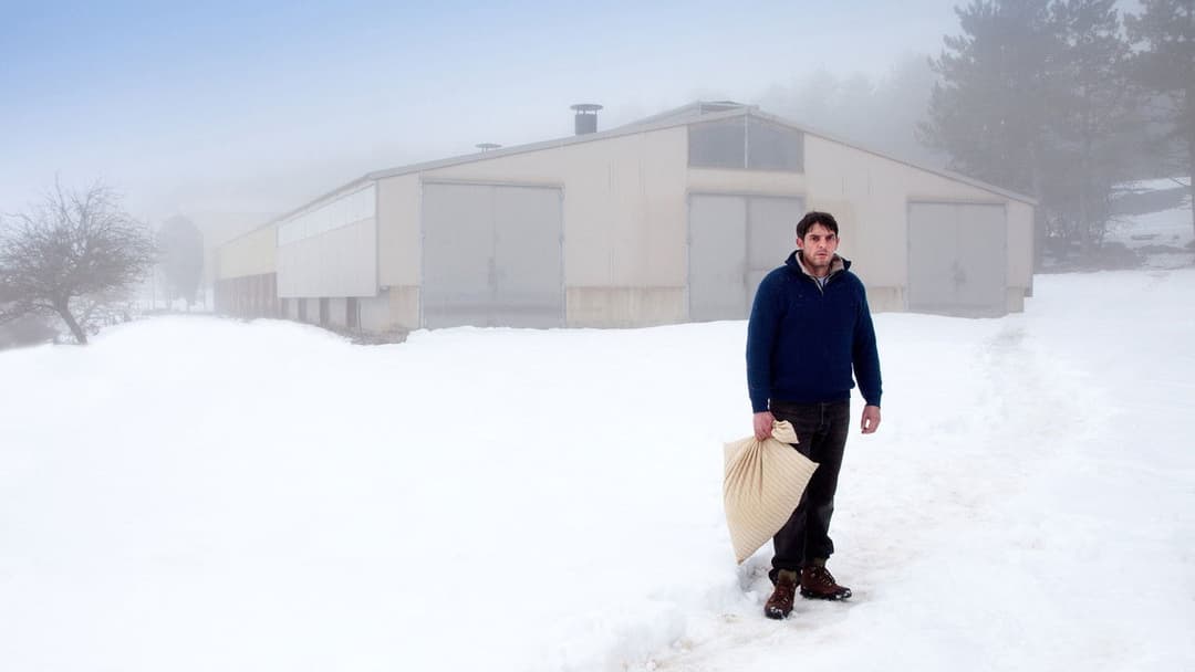 Die Verschwundene backdrop 1