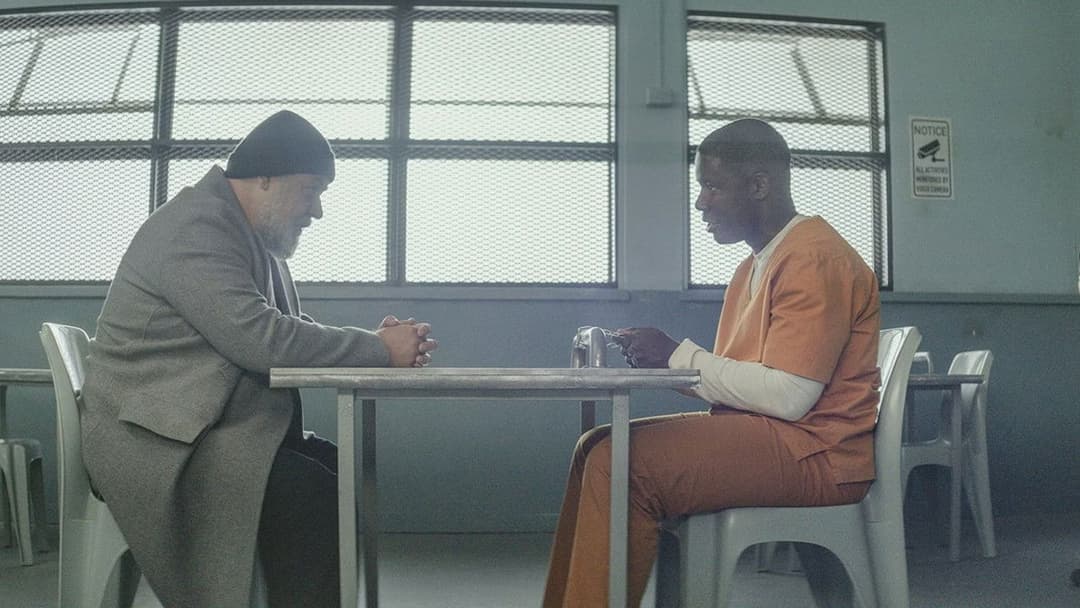 Сплячі собаки backdrop 16