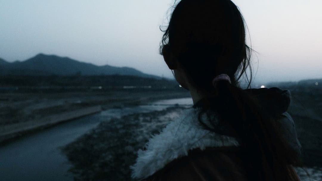 Слон сидить спокійно backdrop 19