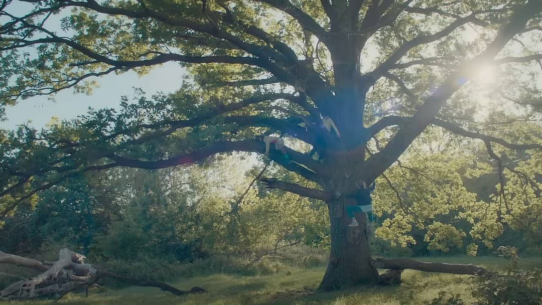 Бріджит Джонс: Закохана у хлопця backdrop 19