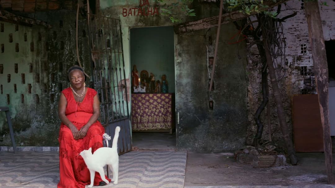 Aqui Não Entra Luz backdrop 3