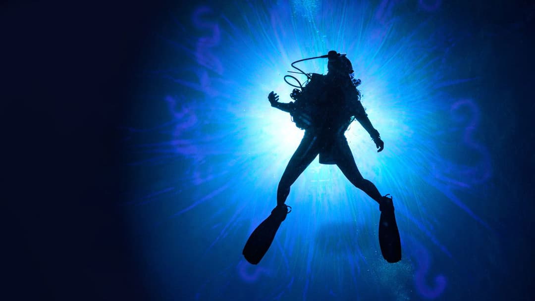 Морські паразити backdrop 7