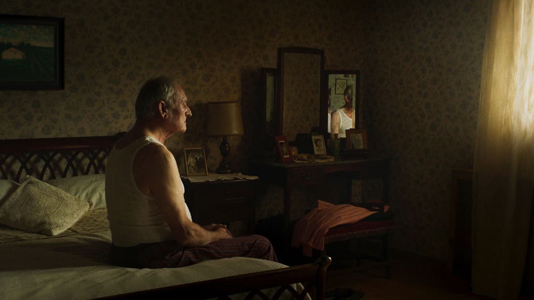 Alcarràs - Die letzte Ernte backdrop 9