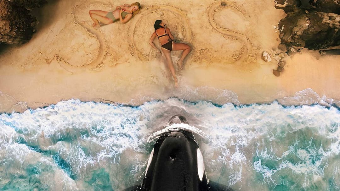 Killerwal backdrop 2