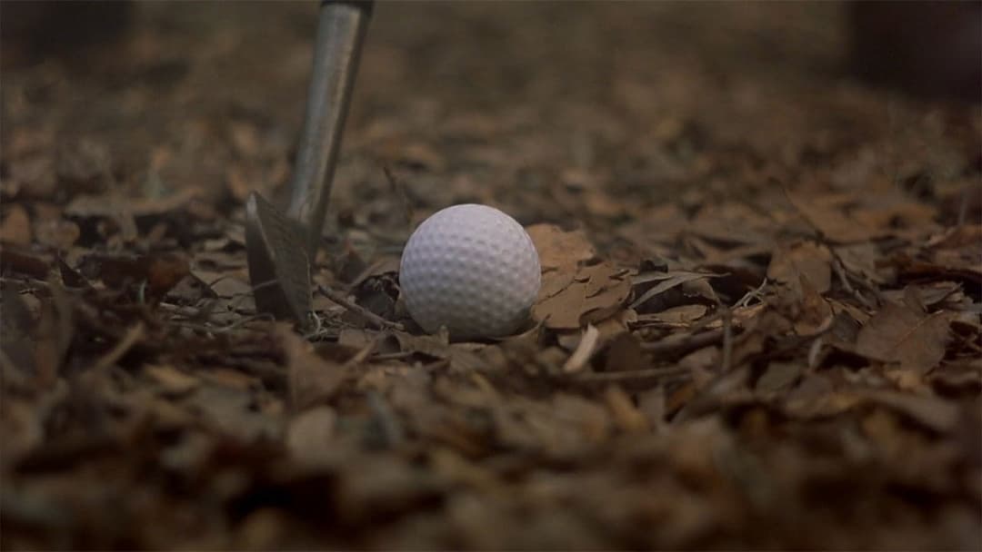 Легенда Багера Ванса backdrop 6