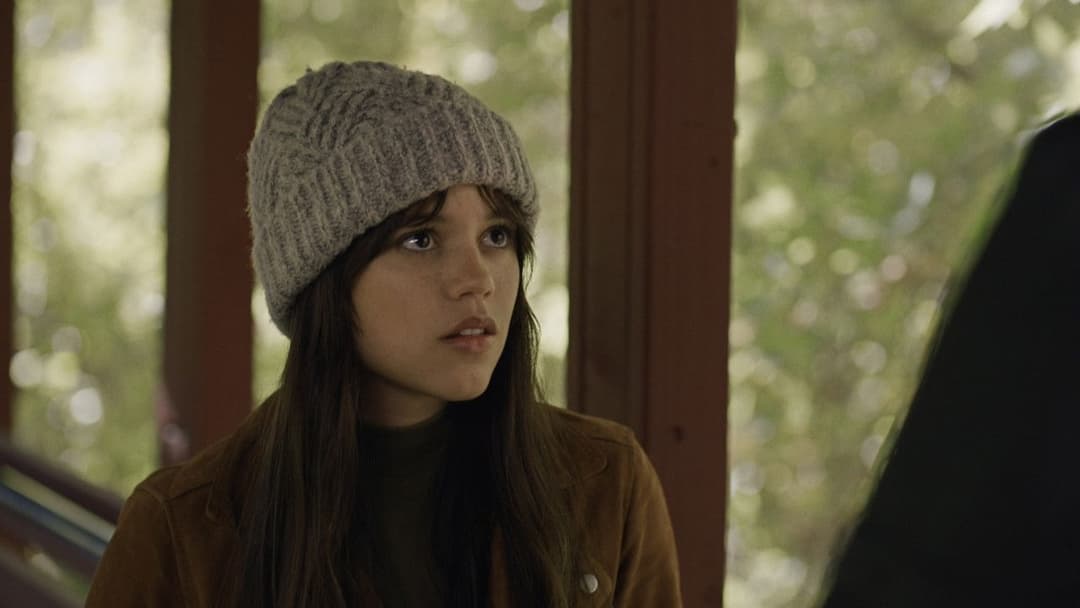 Winter Spring Summer or Fall backdrop 12