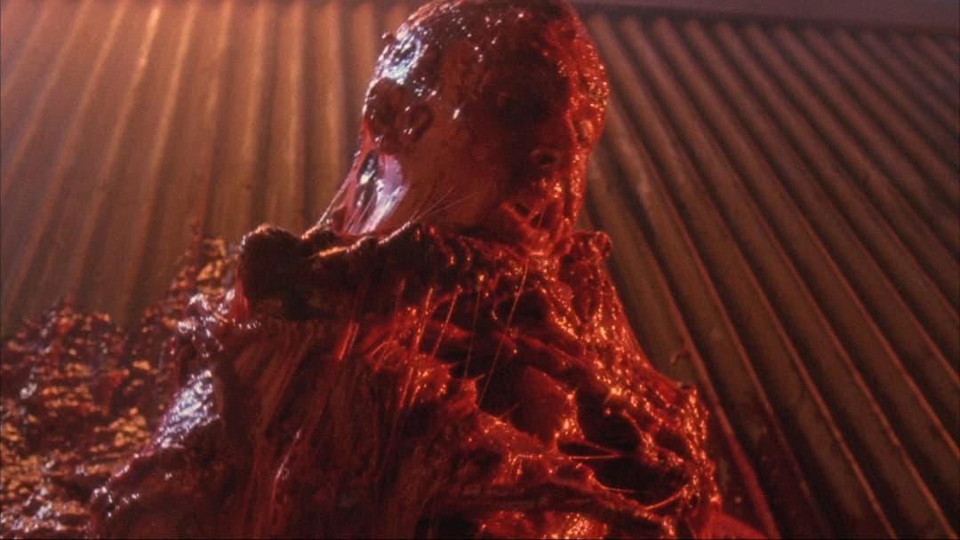 Жива мертв'ячина backdrop 10