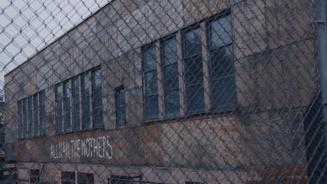 Light of My Life backdrop 9