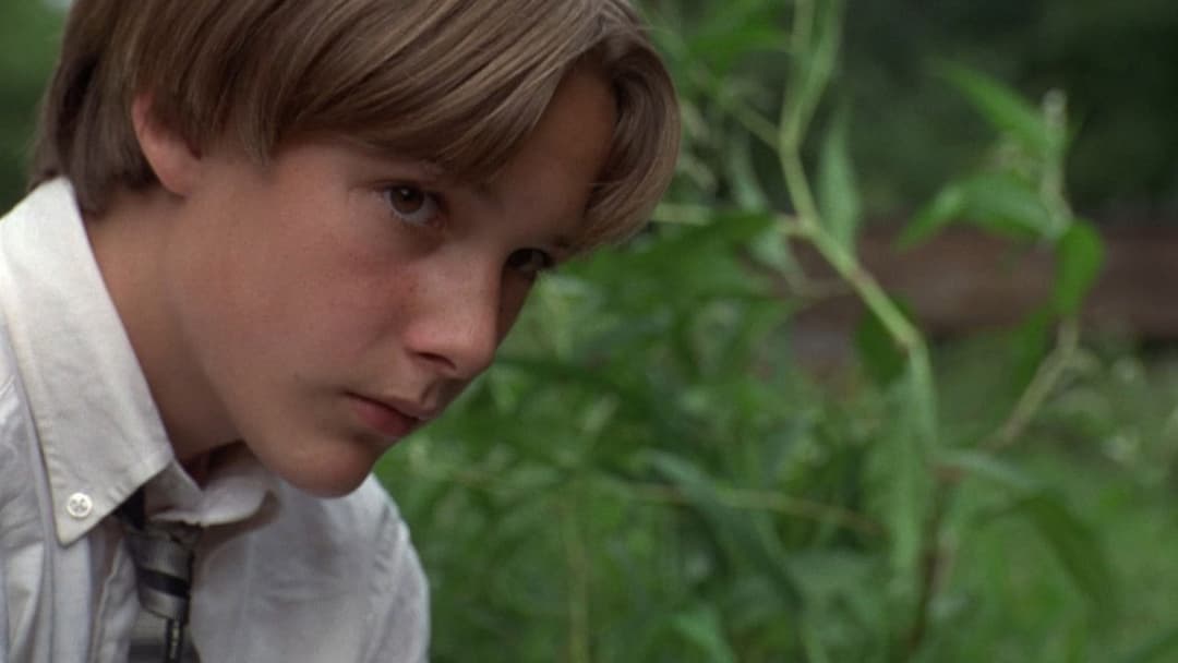 Ліки backdrop 10