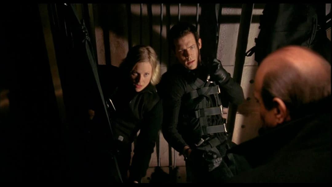 Захист від дурня backdrop 5