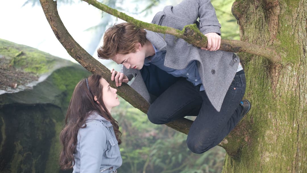 Сутінки backdrop 5