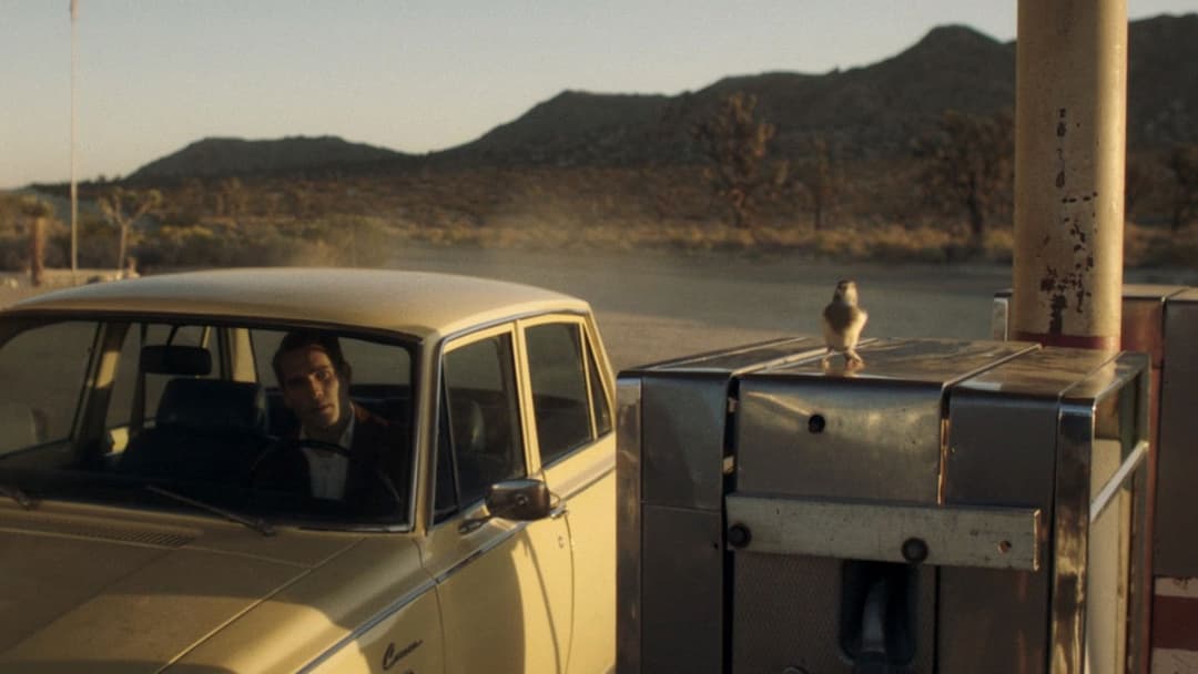 Остання зупинка в окрузі Юма backdrop 14