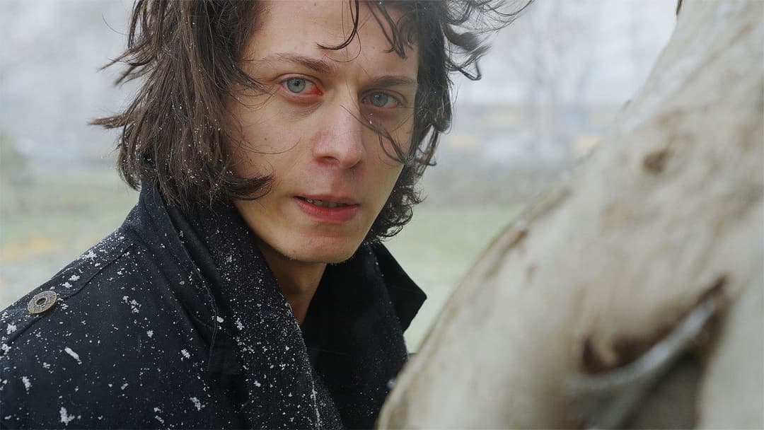 The Leaf Covered in Hoarfrost backdrop 9