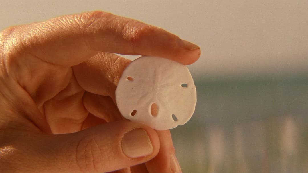 Die Tiefseetaucher backdrop 19