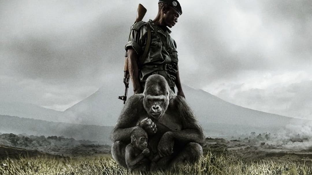 Virunga backdrop 2