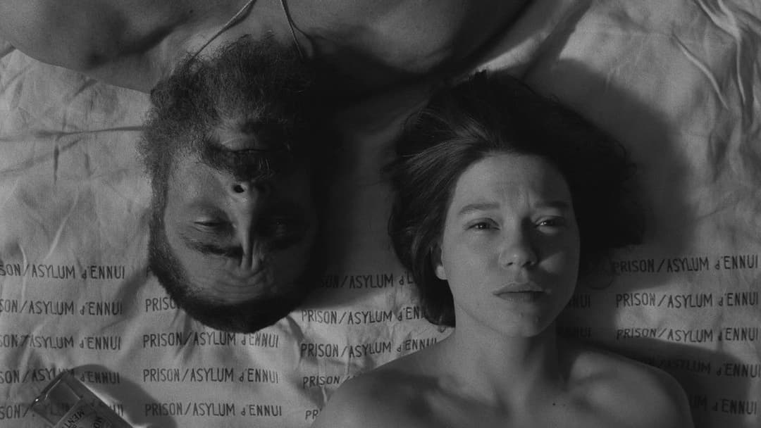 «Французький вісник» від «Ліберті, Канзас Івнінґ Сан» backdrop 20