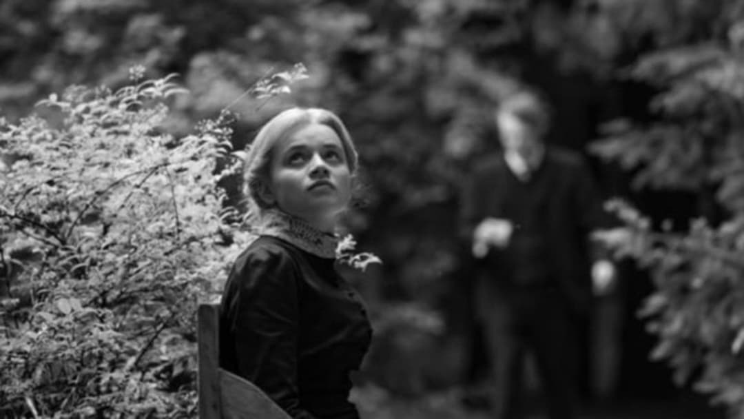 Silent Friend backdrop 4