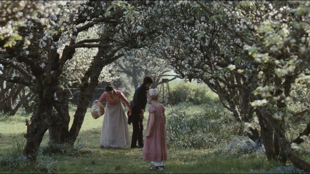 Bright Star backdrop 6