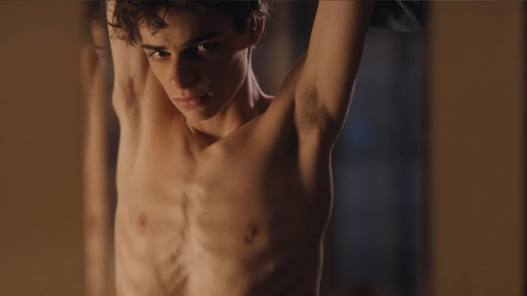 Portrait of a Young Man backdrop 4