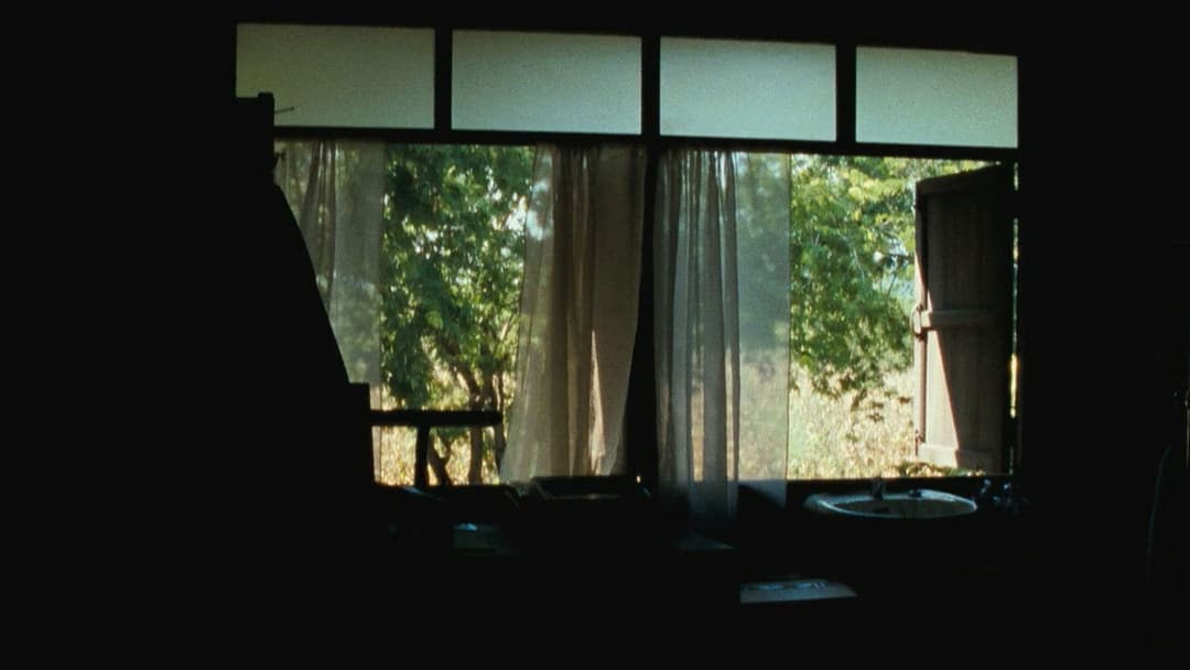 Дядечко Бунмі, який пам'ятає свої минулі життя backdrop 5