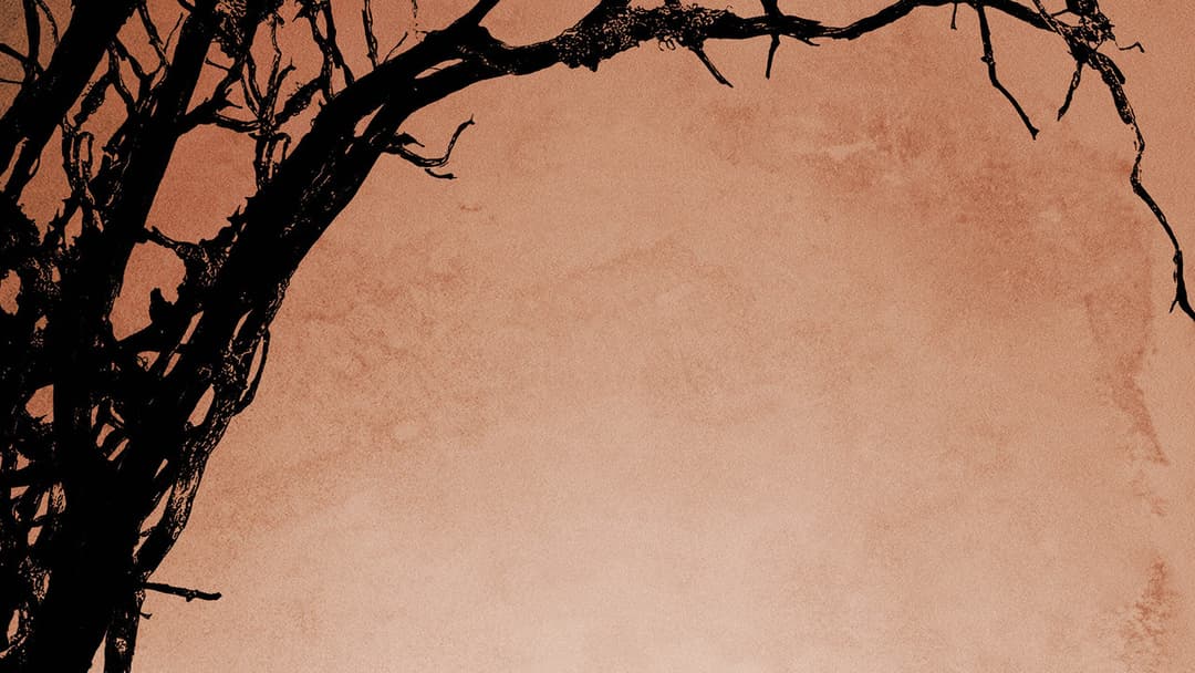 12 років рабства backdrop 15